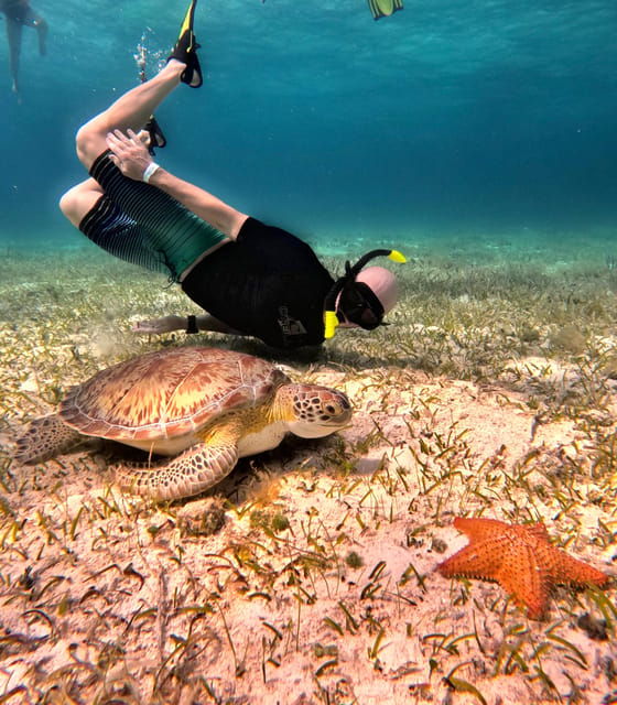 4 Hours Experience the Turtle Sanctuary Onla Chula Catamarán - Good To Know