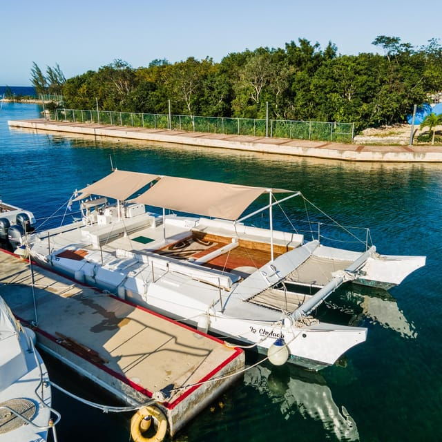 4 Hours Experience the Turtle Sanctuary Onla Chula Catamarán - Itinerary Highlights