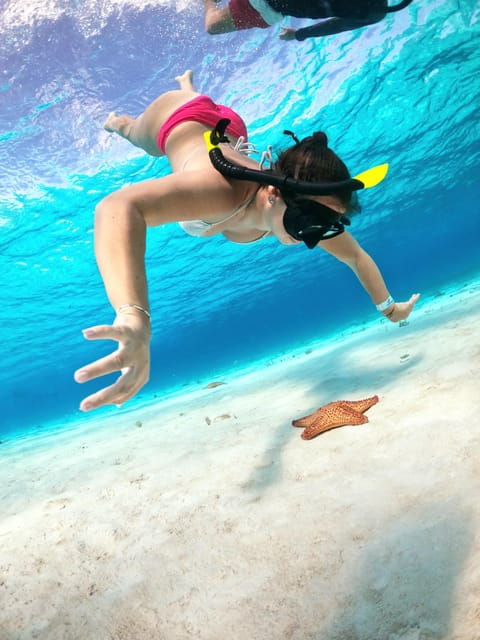 4 Hours Experience the Turtle Sanctuary Onla Chula Catamarán - Inclusions