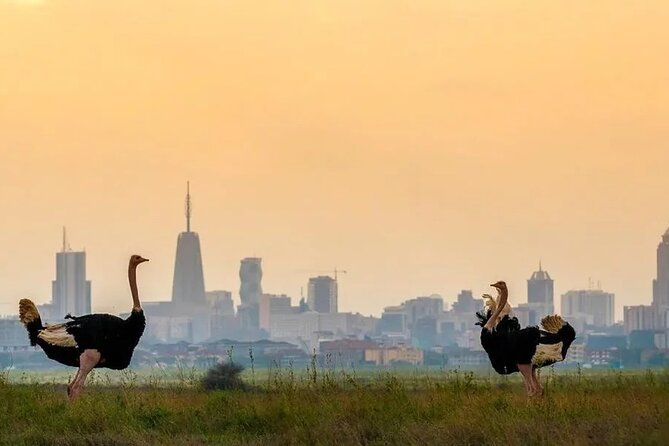 4 Hours Group Safari to Nairobi National Park Game Drive - Pricing and Guarantee