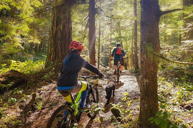 4 Hours Guided Mountain Bike Tour - Who Should Book This Tour?