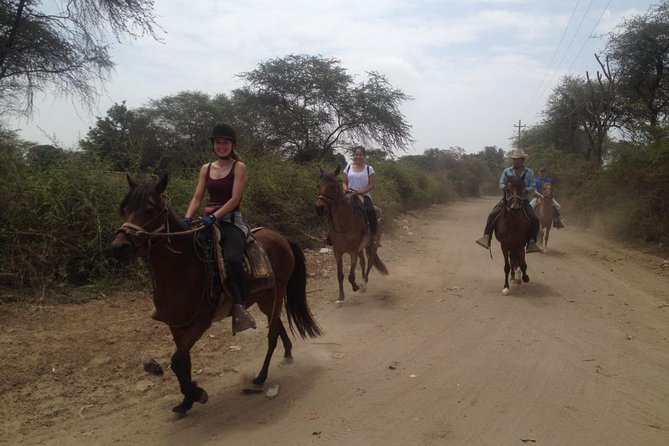 4-Hours Horse Riding, Inca Pyramids in Worlds Largest Dry Forest - Inclusions and Logistics