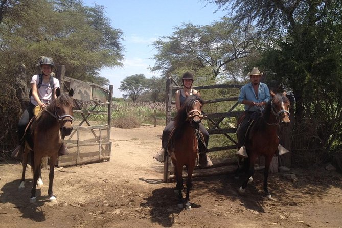 4-Hours Horse Riding, Inca Pyramids in Worlds Largest Dry Forest - Meeting Point and Directions