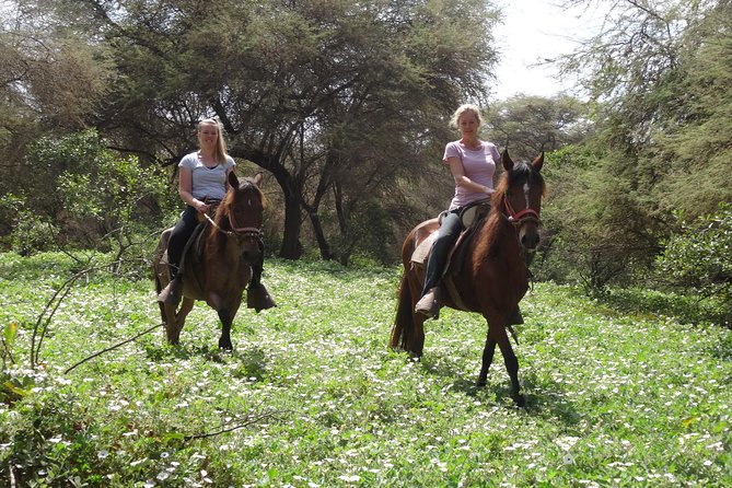 4-Hours Horse Riding, Inca Pyramids in Worlds Largest Dry Forest - What to Expect