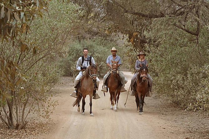 4-Hours Horse Riding, Inca Pyramids in Worlds Largest Dry Forest - Additional Information