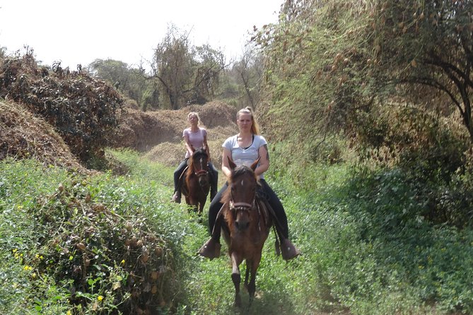 4-Hours Horse Riding, Inca Pyramids in Worlds Largest Dry Forest - Cancellation Policy