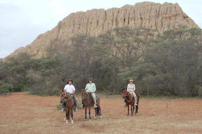 4-Hours Horse Riding, Inca Pyramids in Worlds Largest Dry Forest - Traveler Reviews