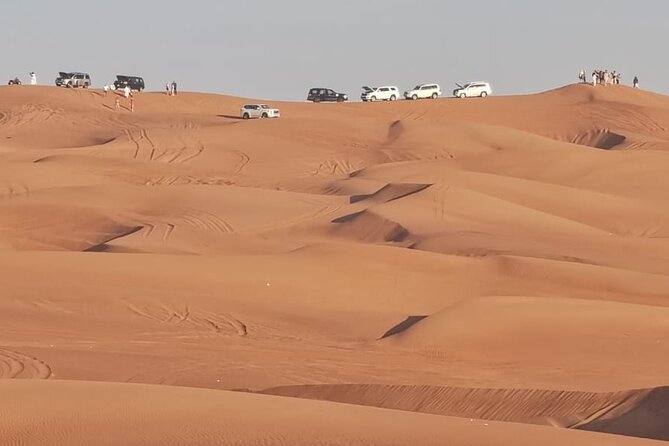 4 Hours Morning Desert Safari in Dubai - Overview of the Morning Desert Safari