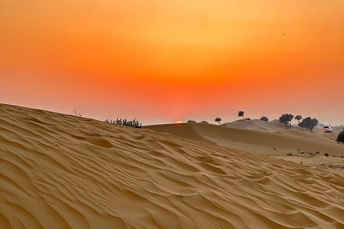 4 Hours Morning Desert Safari in Dubai - Highlights of the Safari Experience