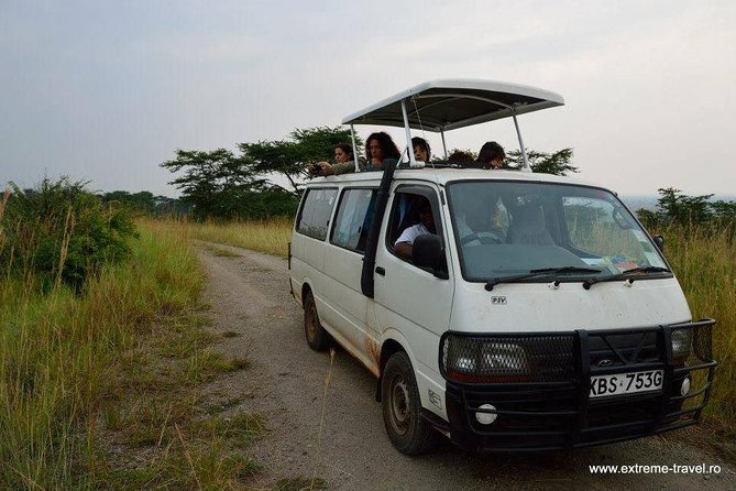 4 Hours Nairobi National Park - Booking Information and Pricing