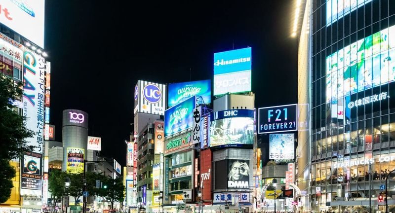 4 Hours Night Walking Tour in Tokyo - A local host helps you read Shinjuku after dark