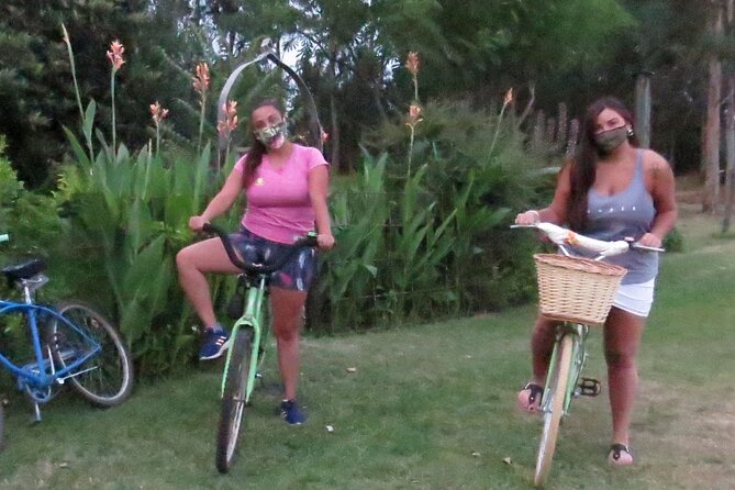 4 Hours of Bike Private Tourism in San Agustín - Accessibility Details