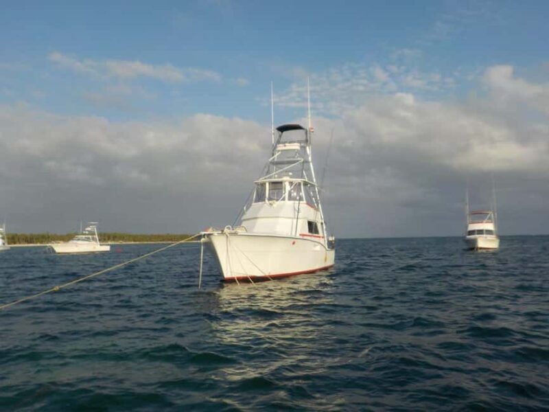 4 hours of deep sea fishing from Bavaro Punta Cana - Why This Deep Sea Fishing Trip Deserves a Spot on Your Travel List