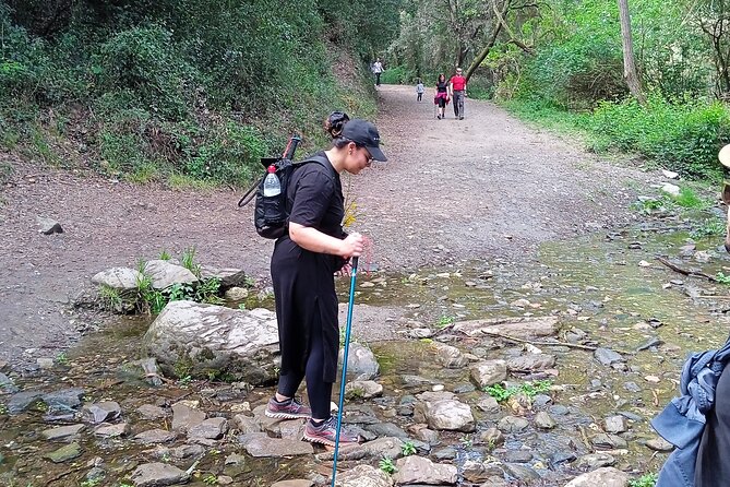 4 Hours of Hiking to the Collserola Mountain With Picnic - Tour Details and Requirements