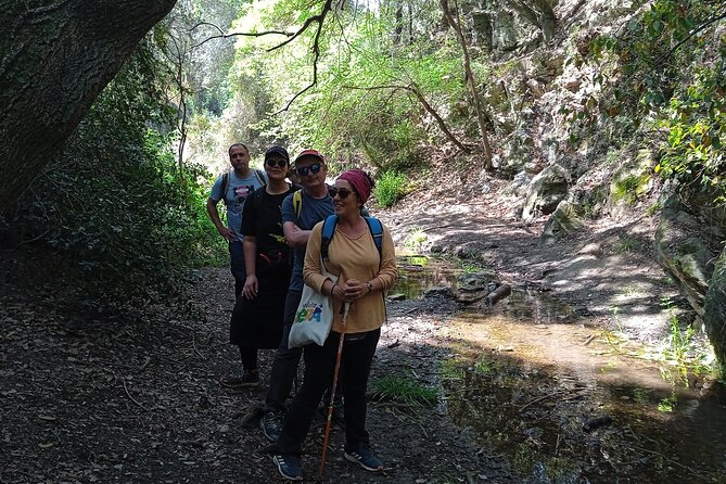 4 Hours of Hiking to the Collserola Mountain With Picnic - Cancellation Policy