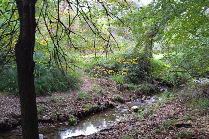 4 Hours of Hiking to the Collserola Mountain With Picnic - Pricing and Terms