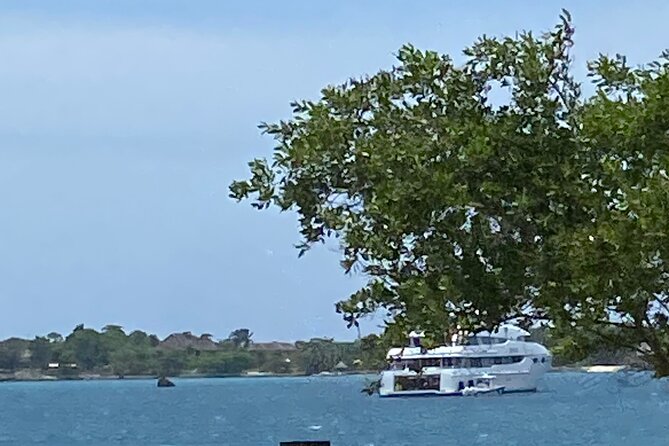 4 Hours Party Boat Catamaran Cruise in Negril - Product Code and Directions