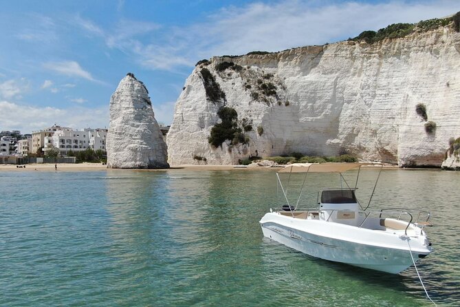 4 Hours Private Guided Boat Tour in Vieste - The Sum Up