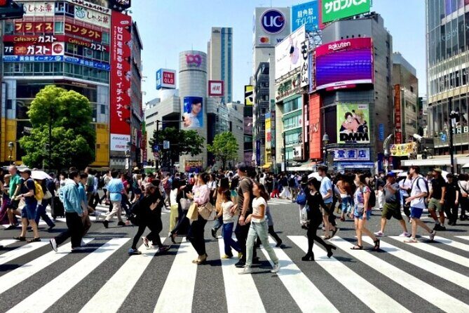 4 Hours Private Night Tour in Shibuya and Shinjuku - The Sum Up