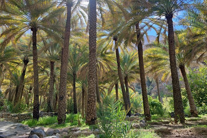 4 Hours Private Tour in Salalah City - Start Time and Opening Hours