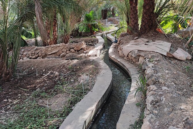 4 Hours Private Tour in Salalah City - Minimum Travelers Requirement