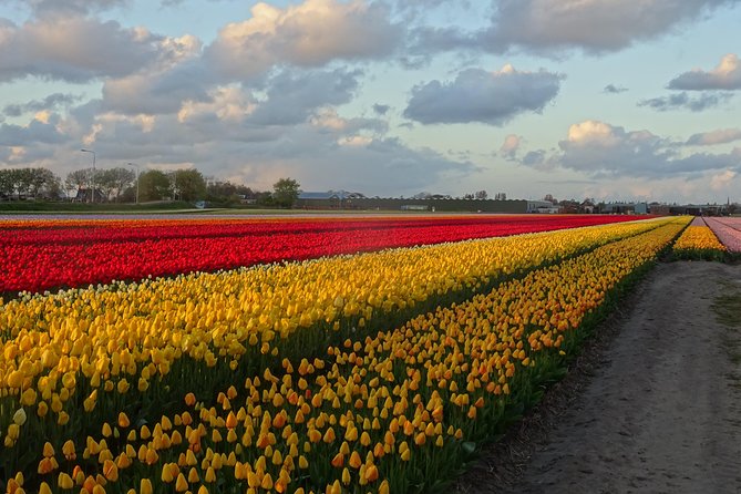 4 Hours Private Tour of the Flourishing Flowerfields by Car or Minivan - Common Questions