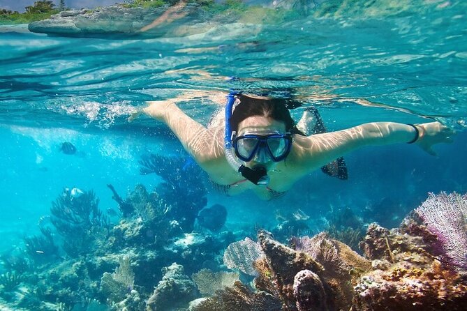 4 Hours Private Tour With Snorkel Experience in Roatan - Reviews