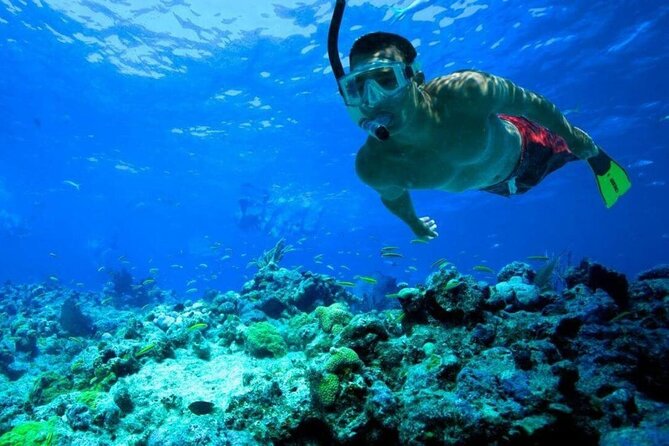 4 Hours Private Tour With Snorkel Experience in Roatan - What To Expect
