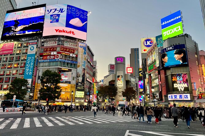 4 Hours Private Walking Tour in Tokyo - Inclusions