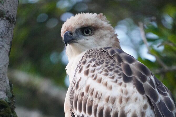 4 Hours Private Yala Safari Day Tour - The Sum Up: Is It Worth It?