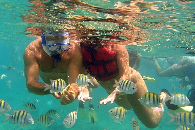 4 Hours Punta Cana Speed Boat and Snorkeling Experience - Experience Details