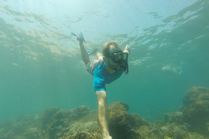 4 Hours Snorkeling Tour in Cabo San Lucas and Corridor - Who Should Consider This Tour?