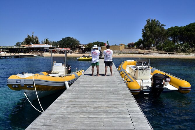 4 Hours Snorkeling With Guide in the Marine Protected Area of Tavolara - Common Questions