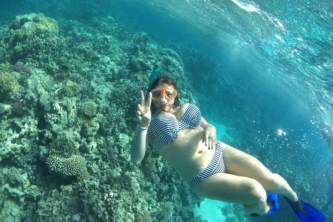 4 Hours Speed Boat to Abo Munkar Island & Water Sport Semi Private - Hurghada - Inclusions