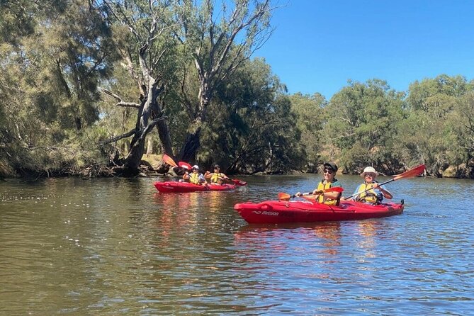 4 Hours Swan Valley Kayak, Wine & Dine Experience - Private Wine Tasting at Mandoon Estate