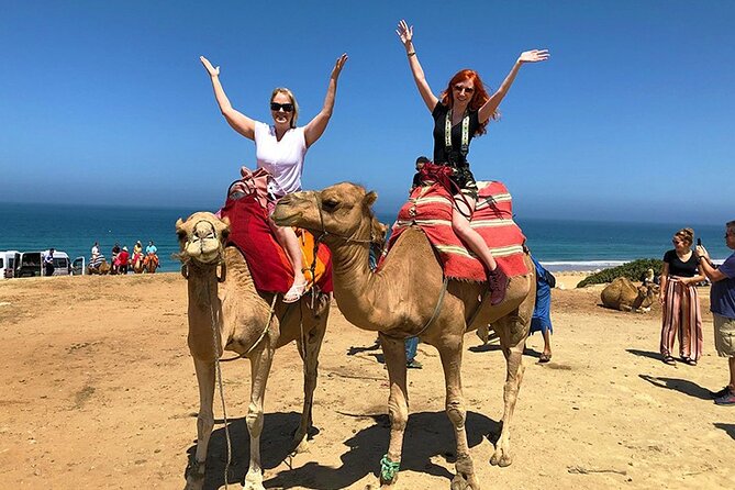 4 Hours Tangier Private Tour - Tour Highlights and Activities