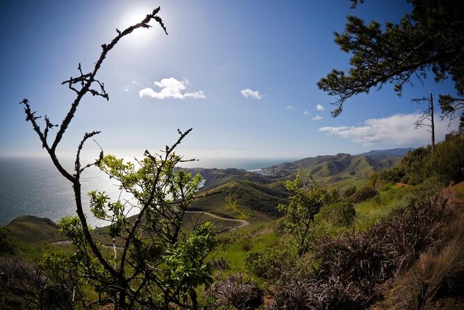 4 Hours Tour Beyond the Golden Gate Bridge Marin Headlands and Sausalito - Exploring the Marin Headlands: Natural Beauty and History