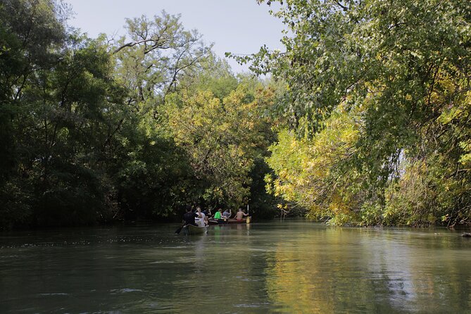 4-Hours Tour Rafting From Hainburg to Bratislava - Pricing & Reviews