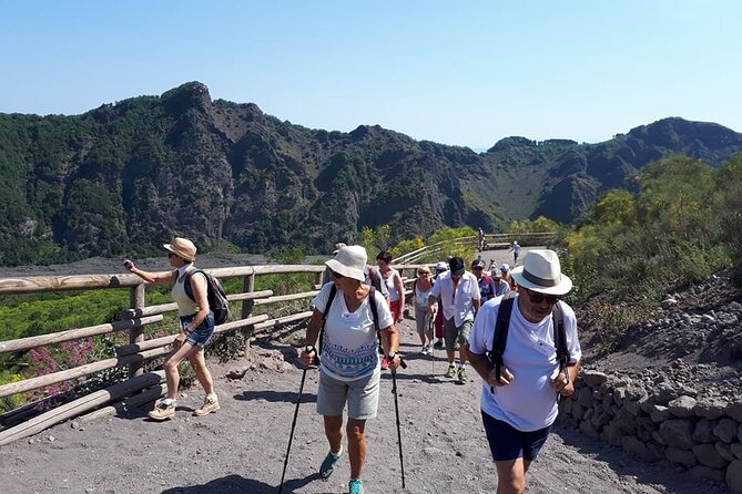 4 Hours Vesuvius Volcano Tour - Good To Know