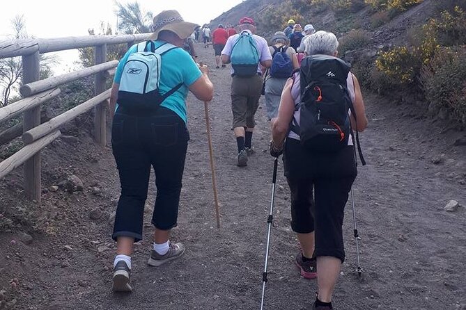 4 Hours Vesuvius Volcano Tour - Booking Details