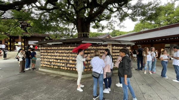 4 Hours. Your Ideal Half-Day Adventure in Tokyo. - Why Choose a Private Tour
