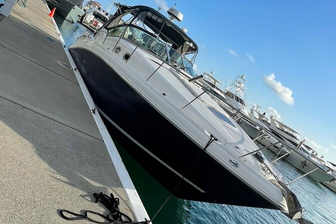 4 Hr Yacht Rental in Miami for up to 10 People Including Gas - The Sum Up
