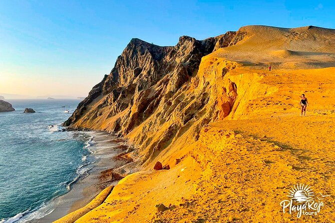 4 Hrs GOLDEN SHADOWS TREK in Paracas National Reserve - Common Questions