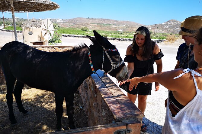 4 Hrs Island Tour and Photoshooting, Oia Blue Domes, Red Beach - Common Questions