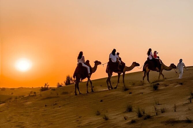 4 Hrs Safari Dune Bashing, Camel Ride,Inland Sea, Pickup Service. - Camel Ride