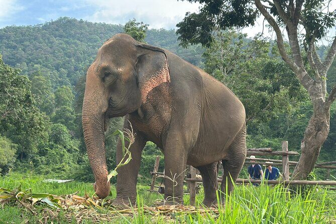 4 in 1 Elephants Long Neck Rafting and Sticky Waterfall Tour - The Stops in Detail