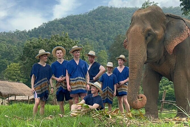4 in 1 Elephants Long Neck Rafting and Sticky Waterfall Tour - The Sum Up