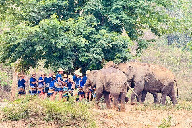 4 in 1 Elephants Long Neck Rafting and Sticky Waterfall Tour - FAQ