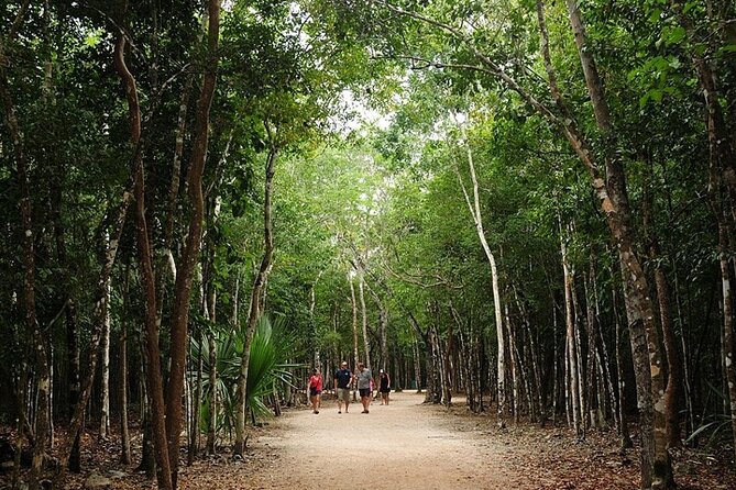 4 in 1: Mayan Tour to Coba, Tulum, Cenote, Shopping and Lunch From Cancun - The Sum Up