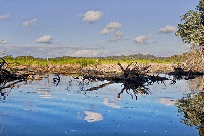 4 in 1 Tour - Mazunte, Cacao Factory, La Ventanilla National Park & Turtle Spawn - Honest Review of the 4 in 1 Tour - Mazunte, Cacao Factory, La Ventanilla, and Turtle Spawn